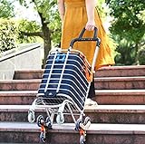 Einkaufswagen mit Rädern | klappbarer Allzweckwagen zum Treppensteigen mit Abnehmbarer wasserdichter Tasche und Langlebigen 8 Rädern und Aluminiumlegierungsrahmen (30 x 45 x 95 cm)