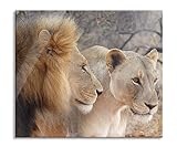 stolzes Löwenpaar Herdabdeckplatte & Spritzschutz aus Echtglas | Für Herd-Kochfelder | 60x52 cm