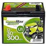GreenMax U1 Garden Power Rasentraktor-Batterie 12V 30Ah 300A Starterbatterie für Aufsitzmäher wartungsfrei