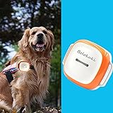 Bolokuki Pet Tracker Dog GPS Tracker für Dogs Bigger Cats Hounds Tracking Device mit Collar Light Search Geo Fence Anti-Lost Wasserdicht GPS Locator Real Time Alarm Free APP 1450mAh 2G GT011