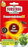 Substral Celaflor TrauermückenEX - Gegen Larven der Trauermücke und andere Schädlinge und Schadinsekten, 4 x 7,5 ml