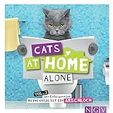 Cats at home alone - Das Geschenkbuch für Katzenliebhaber: Vol. 3 der Erfolgsreihe 'Meine Katze ist ein Arschloch'