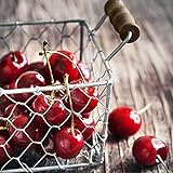 Glasbild Cherry | Küche Wandbild Glas Bild | einteilig 30x30 cm Quadratisch | Kräuter Gewürze Früchte Obst Korb Rot | Küchenbild Dekoration modern vintage