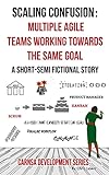 Scaling Confusion: Multiple Agile Teams Working Towards the Same Goal (English Edition)
