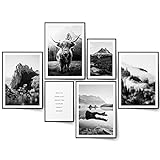 BLCKART Highland Cow Natur Bilder Set Schwarz Weiß Beidseitige Wald Poster Wohnzimmer Deko Wandbilder (L | 4x A3 | 2x A4 | ohne Rahmen, HIGHLAND COW BLACK & WHITE)