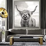 LXTOPN Highland Rind mit großen Hörnern Steppe,Wandkunst Freiheitskuh,Wandkunst Poster und Drucke Schwarz-Weiß-Tiere Bilder Tiere Gemälde an der Wand Dekor (50 * 70cm,2)