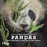 Pandas: Das verborgene Leben der großen Bären