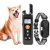 Hundehalsbänder klassisch,sind für alle Arten von kleinen, mittleren und großen Hunden geeignet,Hundehalskette Stabile, sichere und zuverlässige Leistungen,robust und langlebig Hundehalsband. (bv2)