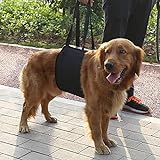 Wosune Hundehebegeschirr, Rutschfester Griff für Hunde, Unterstützung der Rehabilitation 4 Größen für Hunde zur Hundehilfe(M, Black)