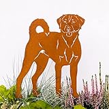 Terma Stahldesign Gartenstecker Edelrost Hund Appenzeller Sennenhund Handmade Germany, Höhe 30cm tolle gartendeko aus Rost-Metall, deko rostoptik, Rostfiguren Tiere,