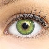 GLAMLENS Florence Green Grün + Behälter | Sehr stark deckende natürliche grüne Kontaktlinsen farbig | farbige Monatslinsen aus Silikon Hydrogel | 1 Paar (2 Stück) | DIA 14.00 | ohne Stärke