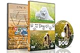 DVD für Hunde zum Anschauen - Entspannende Hundevideos - Entspannen sie Ihre Hunde mit supersüßen Hunden in natürlicher Landschaft von Stränden bis Schnee, um Ihren Hund zu beruhigen