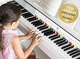 TonGenau® Regenbogen Klaviatur für Kinder - Klavier lernen leicht gemacht - von KlavierlehrerInnen empfohlen - Klavier spielen lernen für Kinder, Anfänger, und Erwachsene