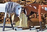 Holzpferd Gartenpferd (Helga Kreft) Tinas-Edelpferd Traumpferd -Spielpferd zum reiten-