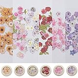 6 Boxes 3D Flower Nail Art Sequins Decals Colorful Mixed Flowers Leaves,Holographic Nail Art Kit Face Body Confetti for Nail Art Tips Decor DIY Crafting (Blume)