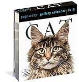 2019 Cat Gallery Page-A-Day Gallery Calendar