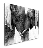 Paul Sinus Art Elefanten 120x 80cm Inspirierende Fotokunst in Museums-Qualität für Ihr Zuhause als Wandbild auf Leinwand in