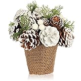 com-four® Weihnachtsgesteck im Blumentopf - Zapfen, Zweige und Beeren im dekorativen Jutebund - handgemachtes Blumenarrangement als Tischdeko (1 Stück - 17cm - weiß - Zapfen)