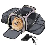 Q-Hillstar Haustier-Transporttasche für Fluggesellschaften zugelassen, erweiterbar, faltbar, weich, Haustier-Reisetasche, sicher und einfach für mittelgroße und kleine Katzen und Hunde