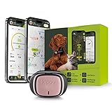 Kippy – GPS Tracker Halsband Evo für Hunde und Katzen – Gesundheits- und Aktivitäts-Tracker – Wasserdichter – Ortungsgerät mit Sofortalarm und Led – Rose