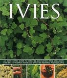Ivies: An Illustrated Guide to Varieties, Cultivation and Care, With Step-by-Step Instructions and over 150 Inspiring Photograp