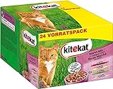 Kitekat Katzennassfutter Markt–Mix in Gelee, 48 Portionsbeutel, 24x100g (2er Pack) – Ausgewogenes Katzenfutter nass, mit Rind, Huhn, Lamm und Lachs