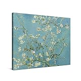 PICANOVA – Vincent Van Gogh Almond Blossom 100x75cm – Premium Leinwanddruck – Kunstdruck Auf 2cm Holz-Keilrahmen Für Schlaf- Und Wohnzimmer