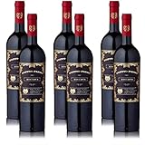 6 Flaschen Rotwein Doppio Passo Primitivo di Manduria Riserva, sortenreines Weinpaket + VINOX Weinkarten (6x0,75 l)