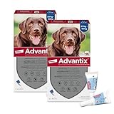 Advantix Sparset: Elanco Spot-On für große Hunde von 25 bis 40 kg gegen Zecken, Sandmücken, Stechmücken, Stechfliegen und Flöhe: Wirkung bis zu 4 Wochen, 2 x 4 Pipetten Packung
