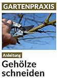Gehölze schneiden - Obstbäume, Laub- und Ziergehölze: Pflege, Instandhaltung, Verjüngung, Form und Erziehung (Blumen & Gartenpraxis)