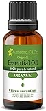 Reines und natürliches ätherisches Orangenöl aus biologischem Anbau (10 ml)