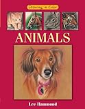 Drawing in Color - Animals (English Edition)