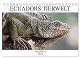 Ecuadors Tierwelt (Tischkalender 2023 DIN A5 quer), Calvendo Monatskalender