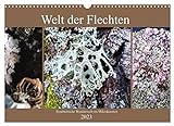 Welt der Flechten (Wandkalender 2023 DIN A3 quer), Calvendo Monatskalender
