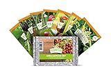 FLORTUS Grillgemüse Samen Set 7 Sorten Gemüsesamen | Saatgut für frisches Gemüse ideal zum Grillen | Samen für Gemüsegarten | Aubergine, Möhre, Paprika, Bohnen, Kirschtomaten, Zucchini, Zwiebeln