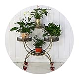 Blumenständer Mit Rädern Mehrschichtiges Eisengestell Bodenstehender Blumenständer Für Das Wohnzimmer Blumentopfständer Für Saftigen Grünen Rettich (Color : Brass, Size : 4)