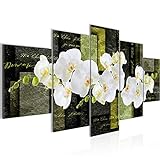 Runa Art - Bilder Blumen Orchidee 200 x 100 cm 5 Teilig XXL Wanddekoration Design Grün 009351b