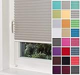 Home-Vision® Premium Plissee Faltrollo ohne Bohren mit Klemmträger / -fix (Grau, B60cm x H150cm) Blickdicht Sonnenschutz Jalousie für Fenster & Tür