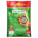 WOLF-Garten Nachsaat-Rasen für 250qm - LR250