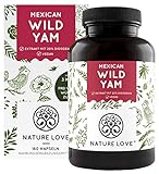 NATURE LOVE® Wild Yam Kapseln - Original Mexican Wild Yamswurzel - Hochdosiert mit 880mg Extrakt (davon 176mg Diosgenin) je Tagesdosis - 180 vegane Kapseln