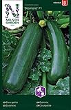 Zucchini Samen für Gemüsegarten - Nelson Garden Saatgut - Zucchini Diamant F1 (15 Stück) (Zucchini, Diamant F1, Einzelpackung)