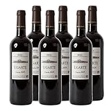 Ugarte 2 Anos Rioja Alavesa DO Rotwein Spanien 2019 trocken (6x 0.75 l)