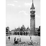 Wee Blue Coo Piazza San Marco Campanile Venice Italy 1895 Old BW Art Print Poster Wall Decor Kunstdruck Poster Wand-Dekor-12X16 Zoll