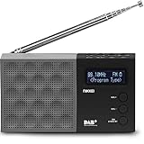 Nikkei NDB30BK - Tragbares DAB + Radio mit PLL FM - USB, 3,5-mm-Buchse, Radiowecker, LCD-Display, Akku - Küchenradio - Schwarz / Grau