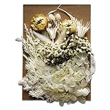 Maxymilo Trockenblumen Set zum Basteln, getrocknete Blumen als Herbst Deko, Trockenblumen Deko zur Wohndekoration, getrocknete Blüten und getrocknete Blumen für Epoxidharz
