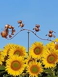 POMMERNTRAUM ® | Windspiel Gartenpendel Gartenstecker Gartendeko Gartenkunst verrückte Hunde Welpen Hundefamilie (Metall braun)