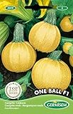Germisem Zucchini ONE BALL F1