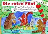 Die roten Fünf - Das Bilderbuch zu Nahrungsmittelallergien. Für alle Kinder, die einen einzigartigen Körper haben. (Empfohlen vom DAAB - Deutscher ... / Die Buchreihe für neugierige Kinder)