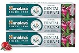 Himalaya Ayurvedic Dental Cream Herbal Toothpaste - Neem & Pomegranate Gum Protection | Helps Fight Plague, Cavity and Prevents Tooth Decay | With Natural Fluoride - 100g ( Pack of 3)
