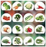 Prademir – Gemüsesamen Set aus 16 Sorten Premium Gemüse Samen – Gemüse Anzuchtset mit 100% Natursamen aus Portugal – Gemüse Saatgut aus Gurke, Brokkoli, Karotte, Blumenkohl, Chili, Tomate, Salat uvm.
